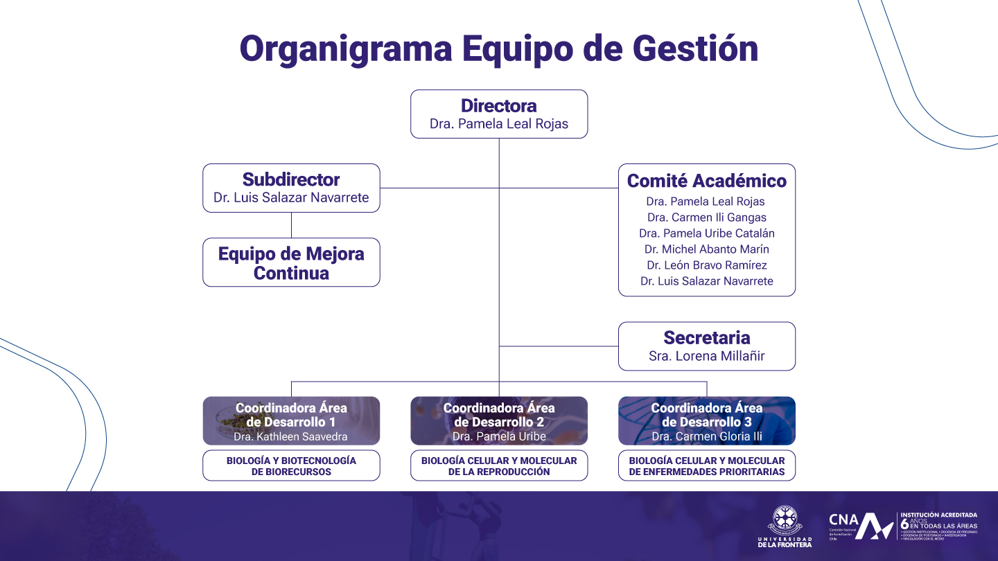 ORGANIGRAMA 2025