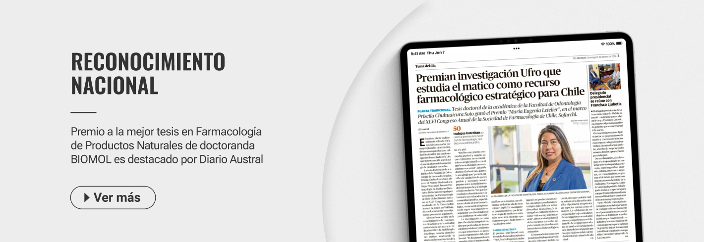 banner diario austral