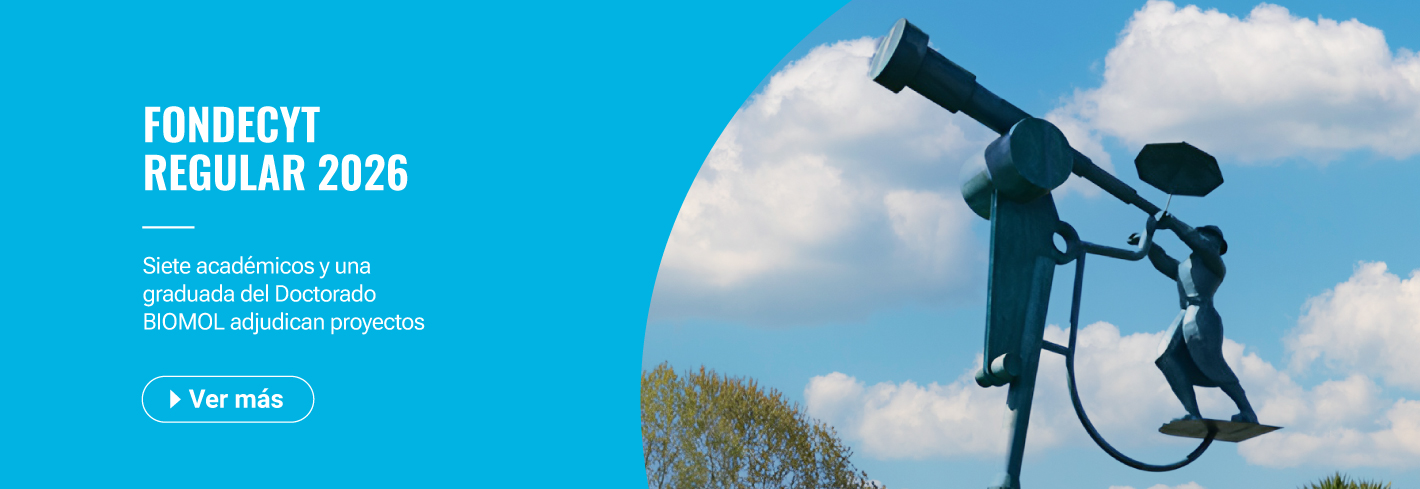 banner adj regular 2026