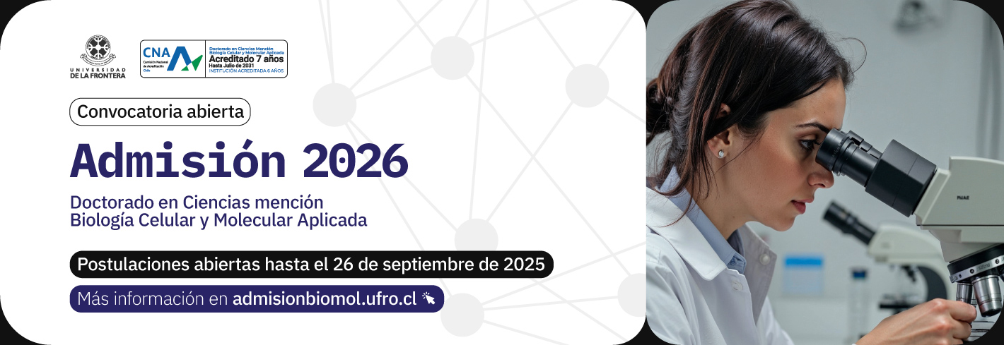 admision 2026
