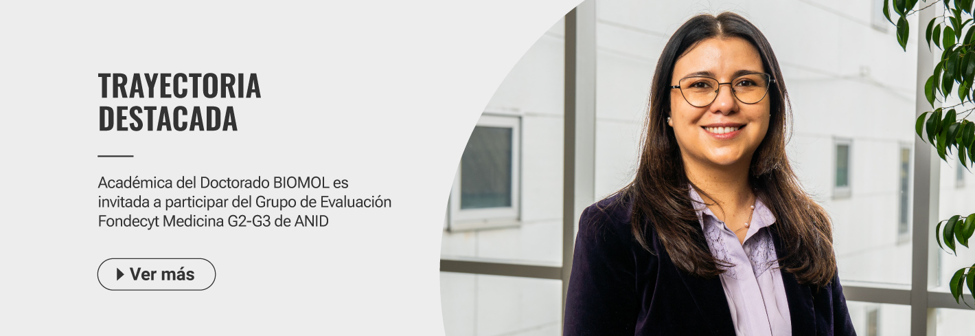 banner carmen gloria