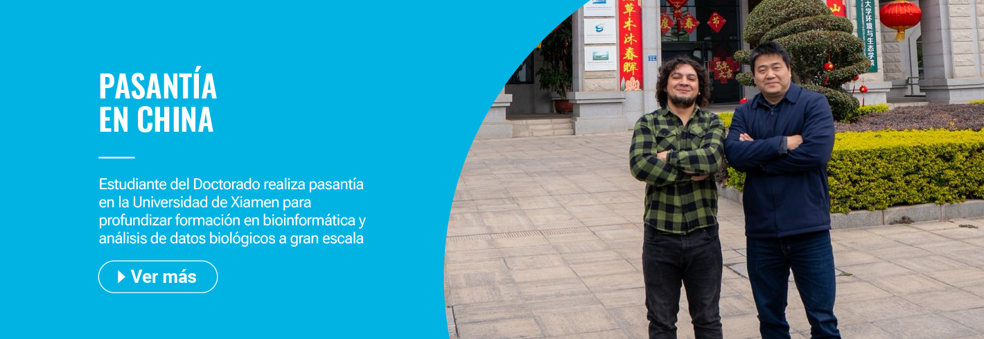 banner pasantia china