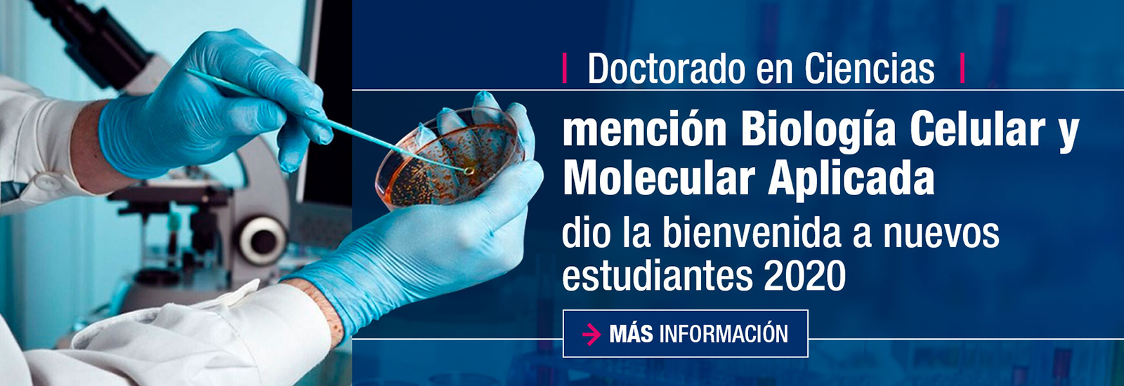 Doctorado En Ciencias Mención Biología Celular Y Molecular Aplicada