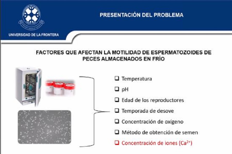 biomol2