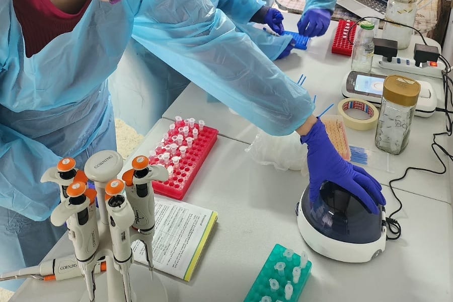 Tecnología liderada por académico del Doctorado podrá detectar salmonella en tiempo record