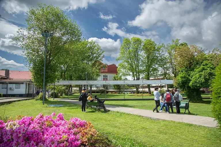 campus ufro estudiantes 768x512