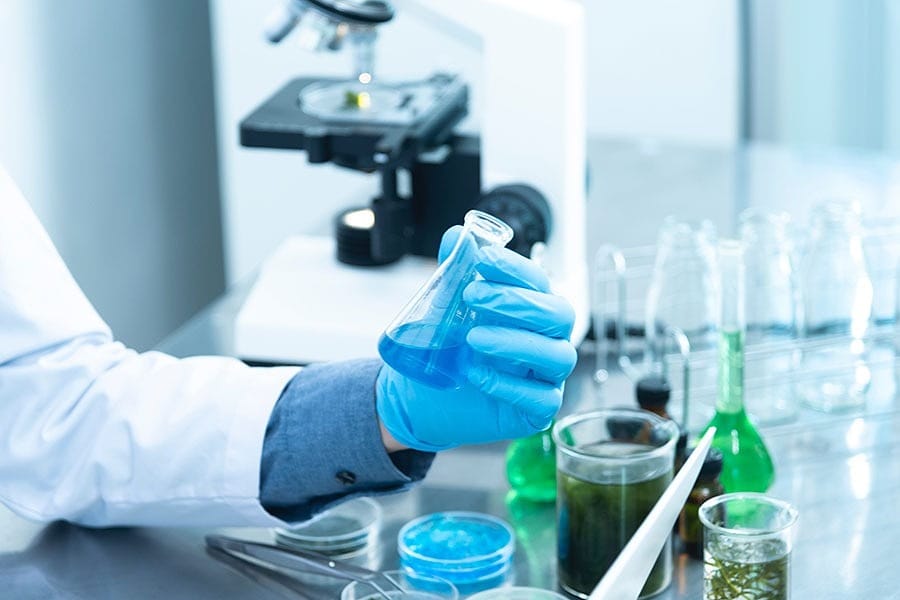 Calidad consolidada: CNA otorga acreditación por 8 años al Doctorado en Ciencias mención Biología Celular y Molecular Aplicada