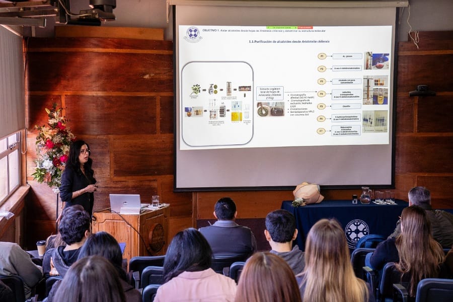 Nueva graduada del Doctorado profundiza en las propiedades de Aristotelia chilensis y su impacto en enfermedades neurodegenerativas